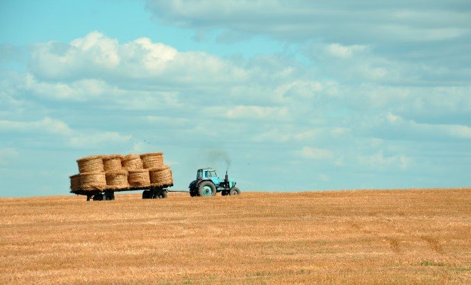 stories/farm-hay.jpg