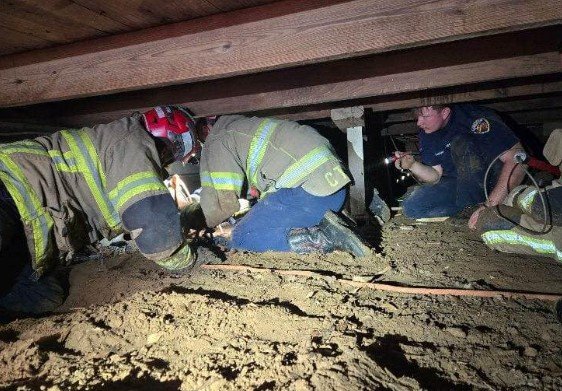 stories/firefighters-rescuing-stuck-dog.jpg